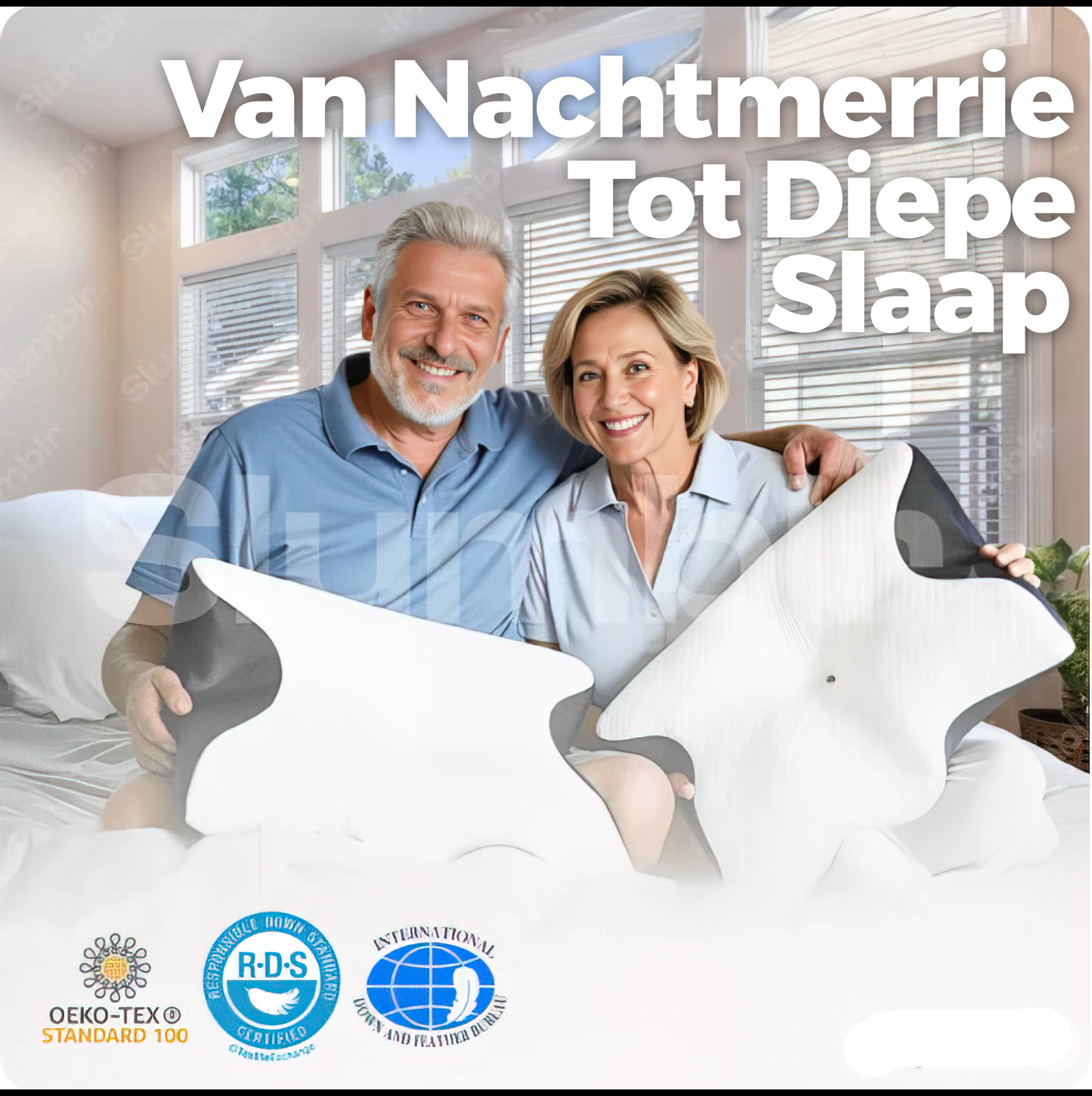 Snoozy | Het laatste kussen dat je ooit nodig hebt